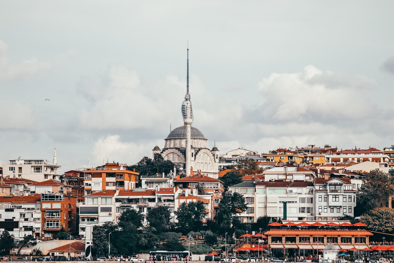 attractive dish for yoy