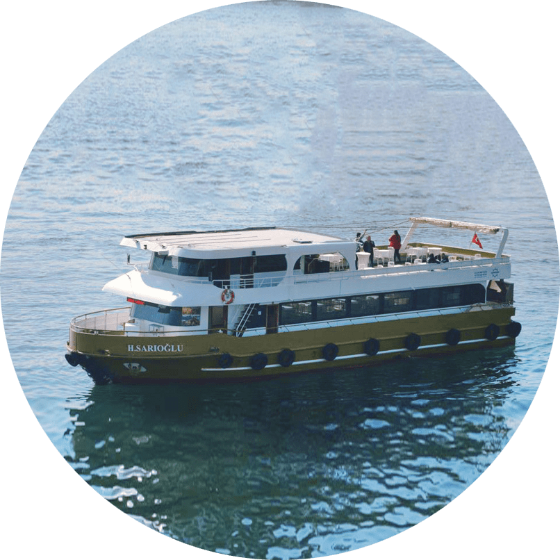 tasty and healthy food made